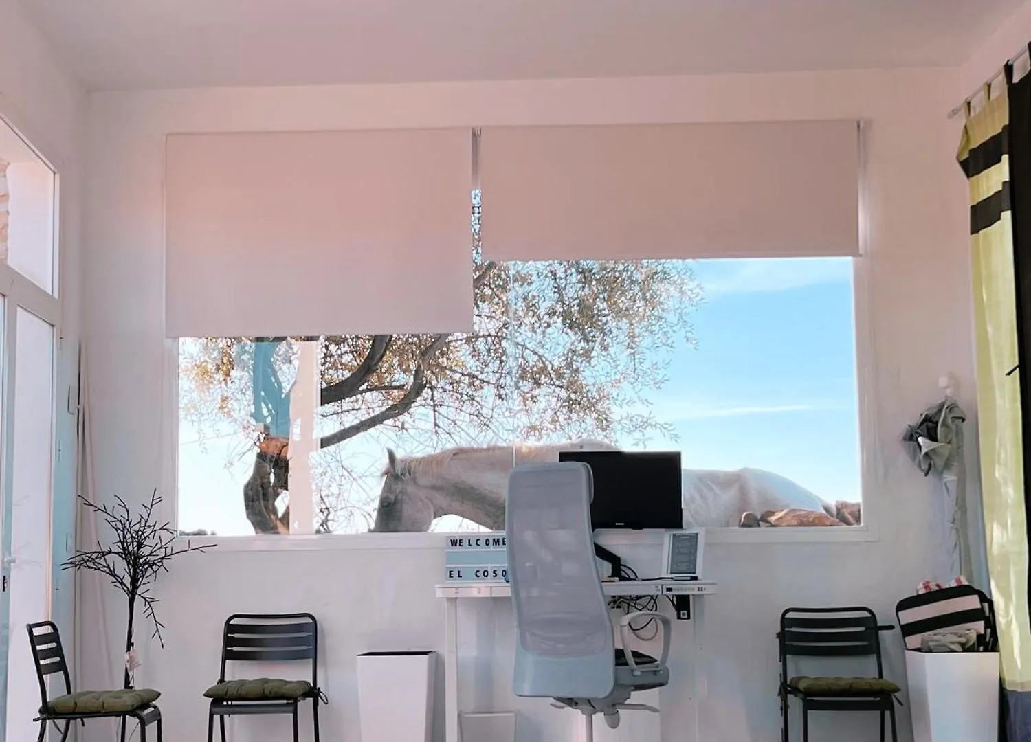 El Coso Lodge & Workation Zalamea la Real